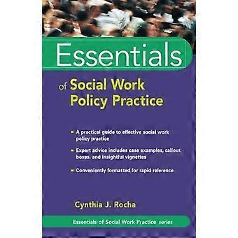 Grundlagen der politischen Praxis der sozialen Arbeit