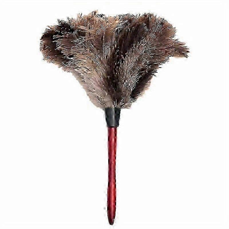 Feather duster for sensitive surfaces - Ostrich feather cleaning tool with handle