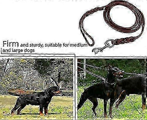 Leather Braided Dog Walking Leash