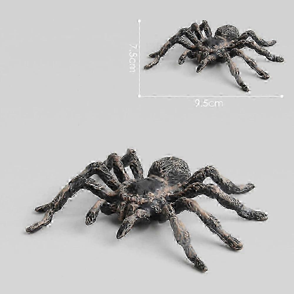 Educational PVC Spider Toy Set