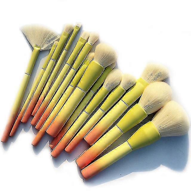 Pro Gradient Color 14pcs Set Soft Cosmetic Makeup Brush
