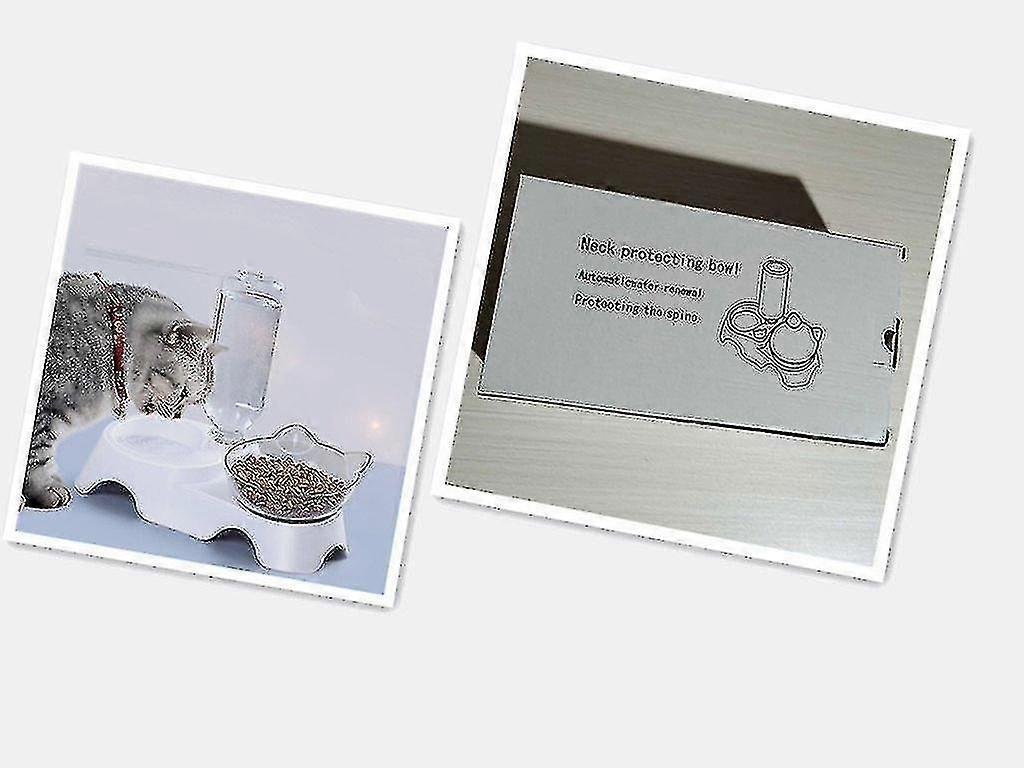 Huisdier Feeder Kattenbak (wateropslagdoos)