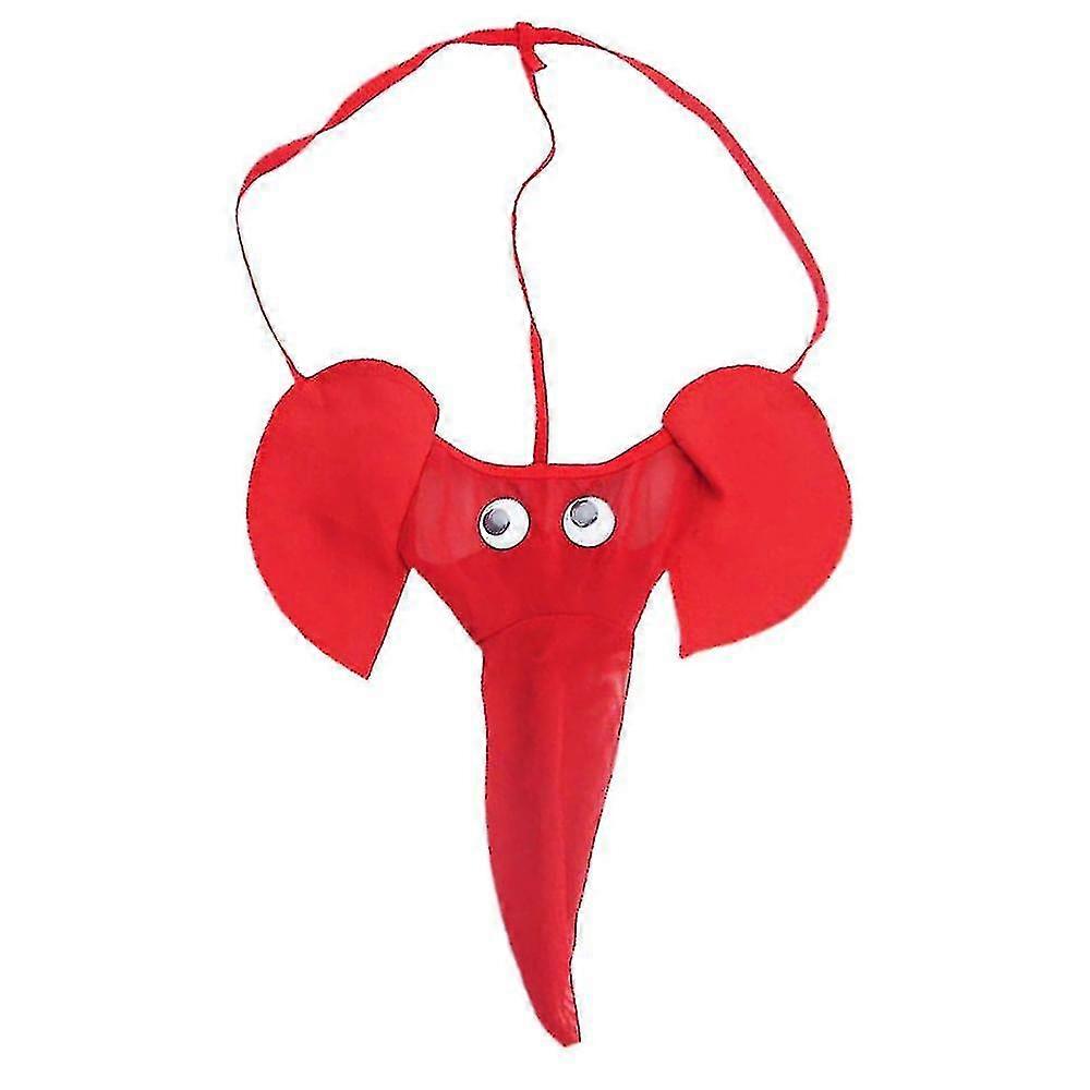 Mens Pouch Briefs G-String Novelty Fun Underwear Panties
