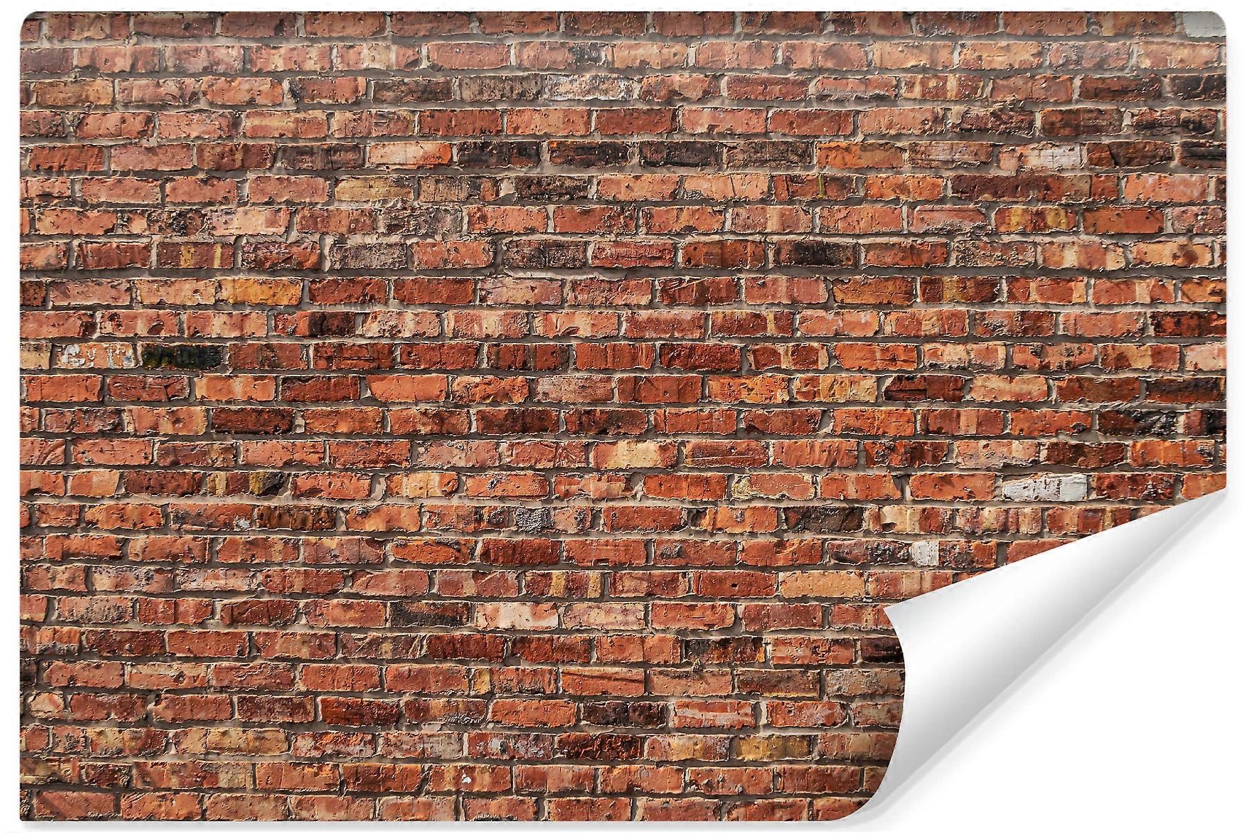 Murale Vecchio Muro di mattoni rossi Effetto 3D