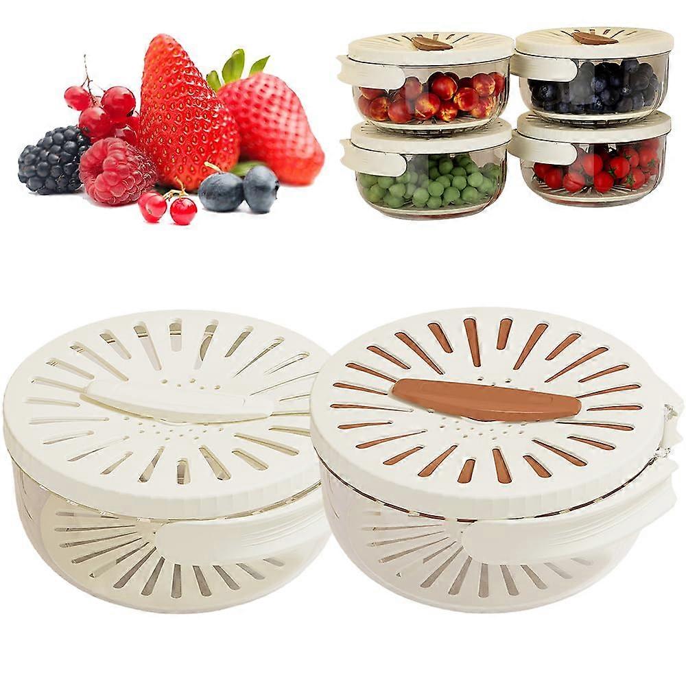 Multifunctional Fruit and Vegetable Washing Bowl with Drain Handle, 2 In 1 Draining and Preservation Basket, BPA-Free Plastic