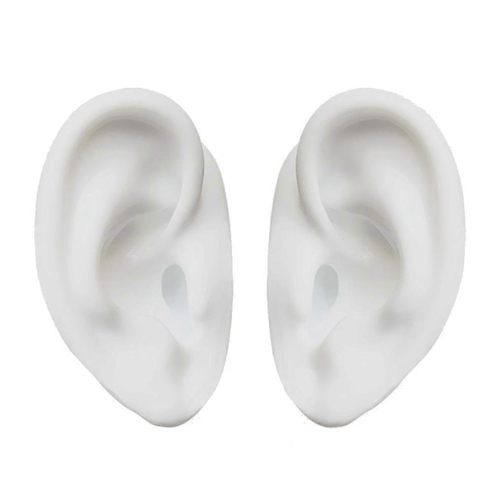 Silicone Simulation Human Ear Model Puncture and Perforation Practice Teaching Display Props Ear Studs Display Stand  L