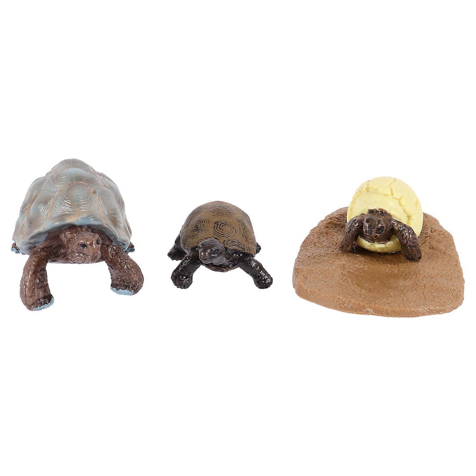 Plastic Cycle Figurines Educational Kit for Cognitive Learning, Lightweight Animal Statues for Biology