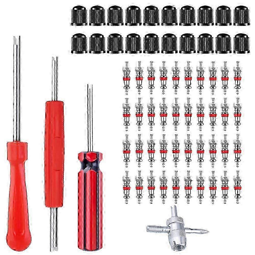 RISEUVO Valve Root Removal Tool - 40 PCS Valve Nucleus, 4 Wedding Valve Vehicle, Valve Core Output Tool, Tire Repair Schrader Valve Tool