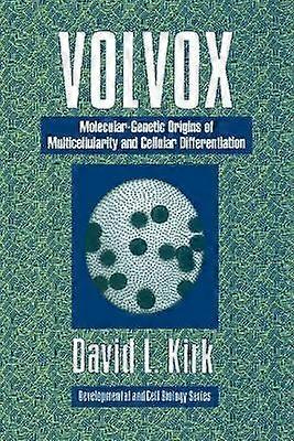 Volvox