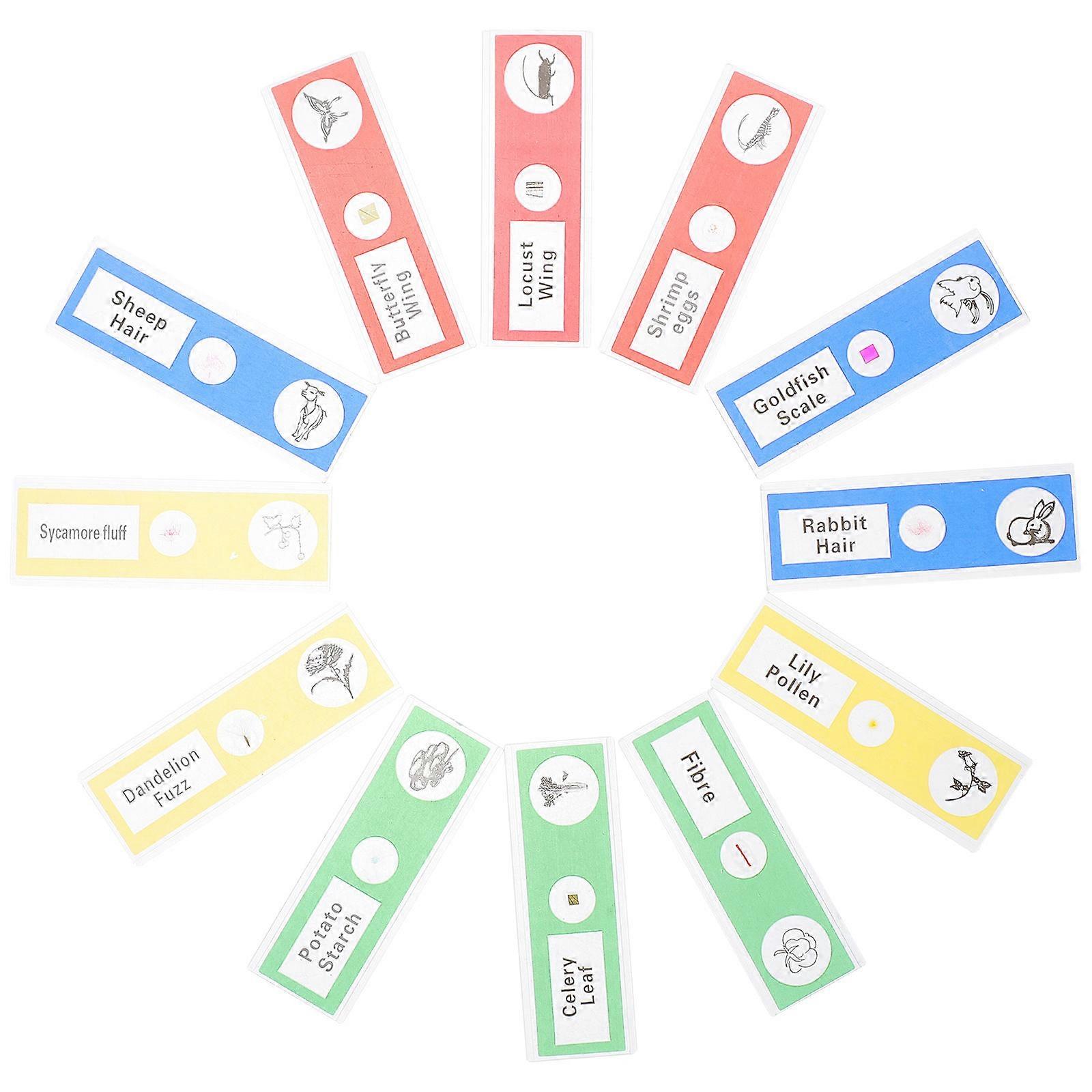 Sample Microscope Slides Plastic Collection for Kids with 36Pcs Specimens