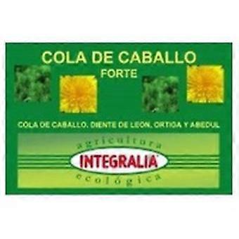 Horsetail Forte 60 capsules
