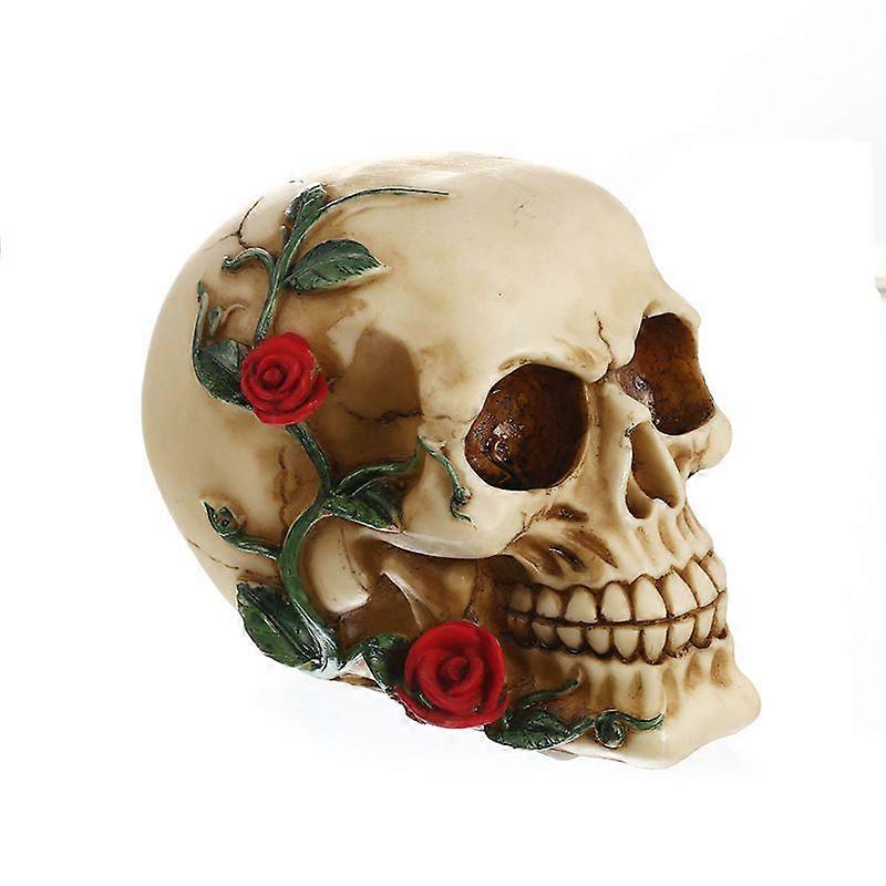 Human Skull Model - Small Size
