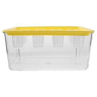 Goldfish Tank with Lid for Self-Growing Garden Fish Tank 2-in-1