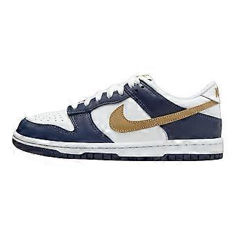 Nike Leder-Skateboardschuhe, niedrig geschnitten, Weiß/Blau, Unisex, FB9109-111