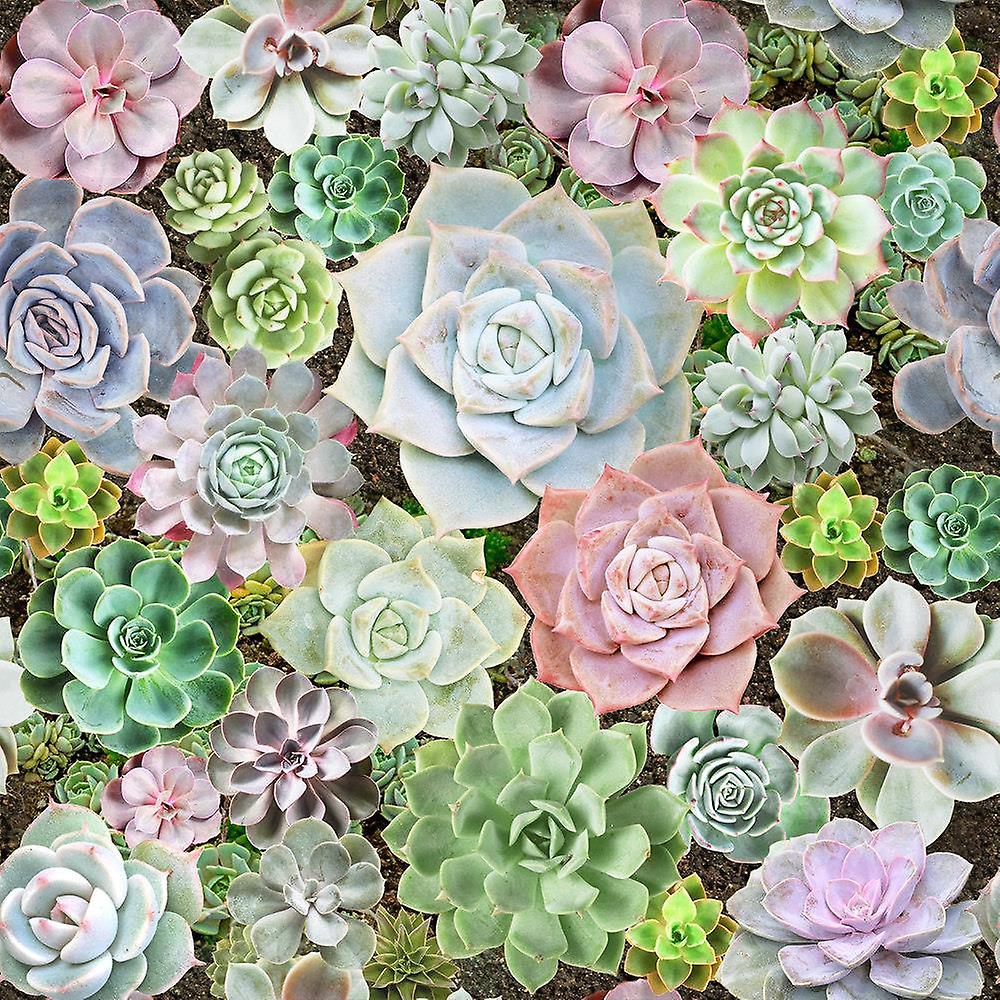 Arthouse Succulent Living Wall Multicoloured Wallpaper