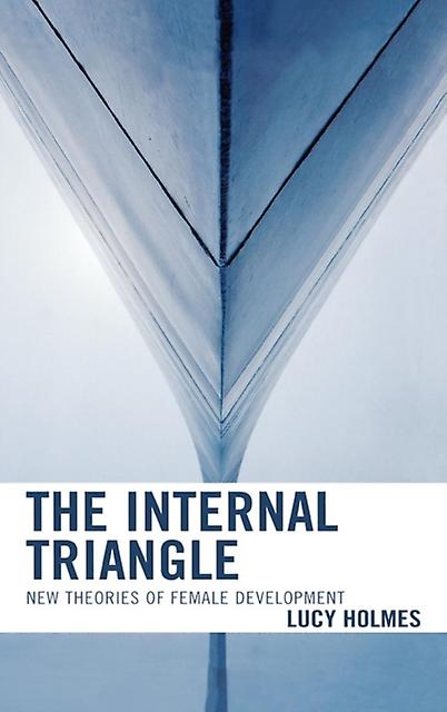 The Internal Triangle by Lucy Holmes Paperback Book