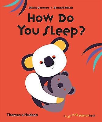 How Do You Sleep by Bernard Duisit Hardback Book