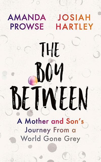 The Boy Between by Amanda Prowse Paperback