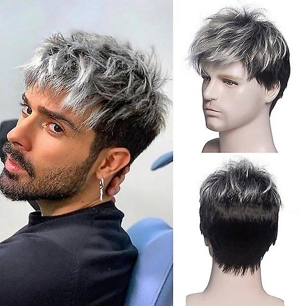 Short Straight Grey Black Wig for Men