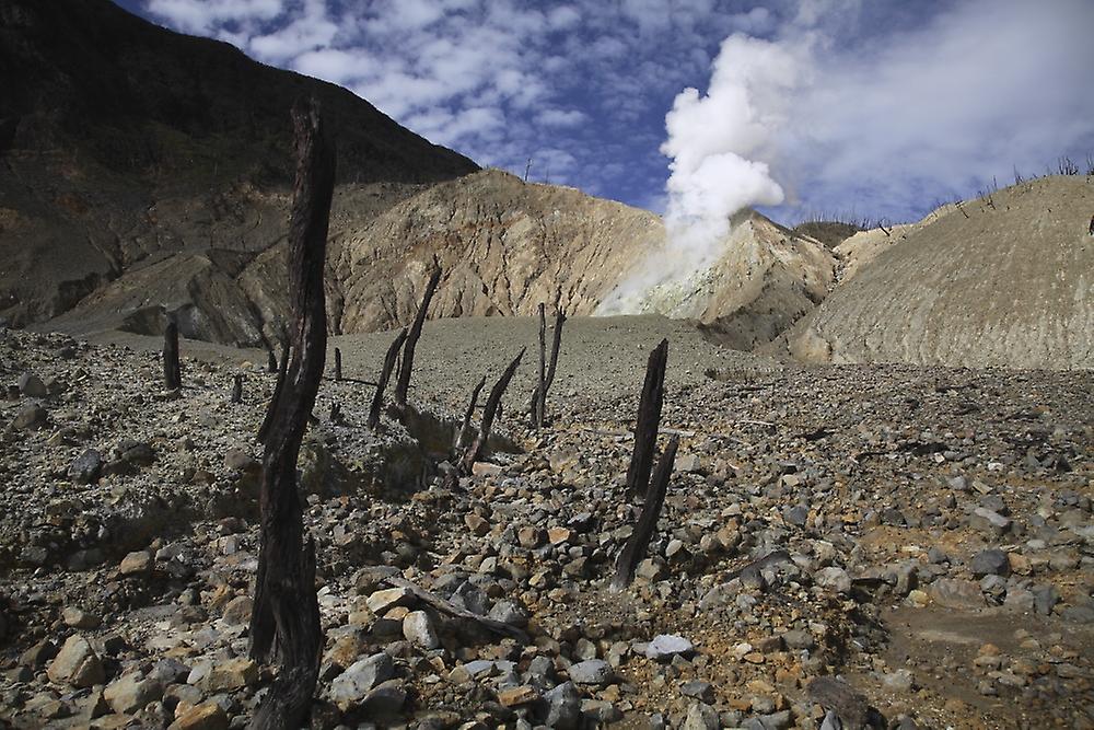 Papandayan crater, Java Island, Indonesia. Poster