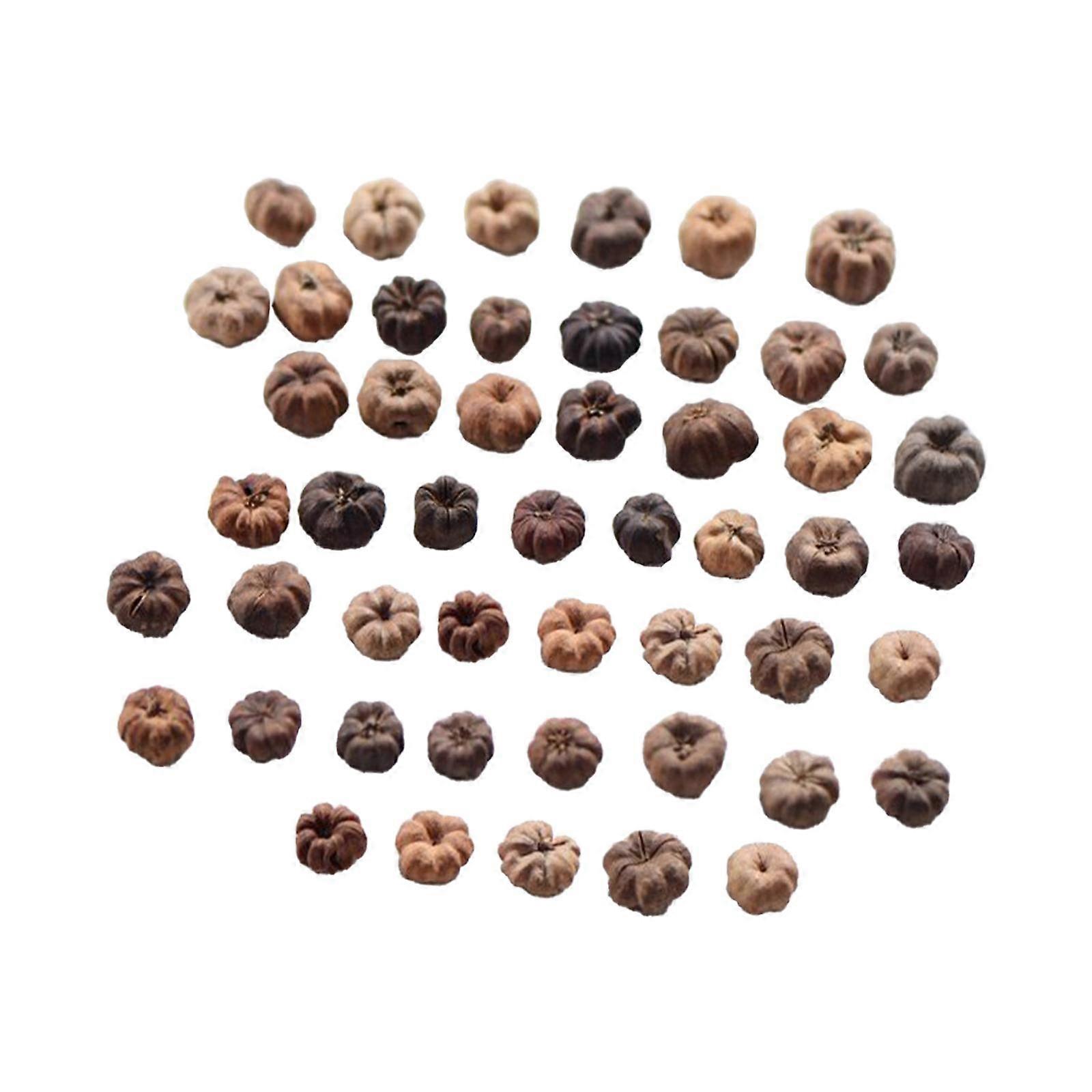 50x μίνι Putka Pods διακοσμητικά μίνι λοβούς κολοκύθας για το στέφανο σπιτιών γάμου DIY