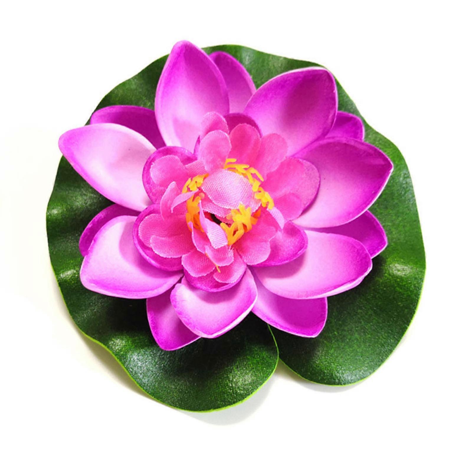 Keinotekoinen lumpe Bonsai Lotus kelluva lampi Elävä Nymphaea
