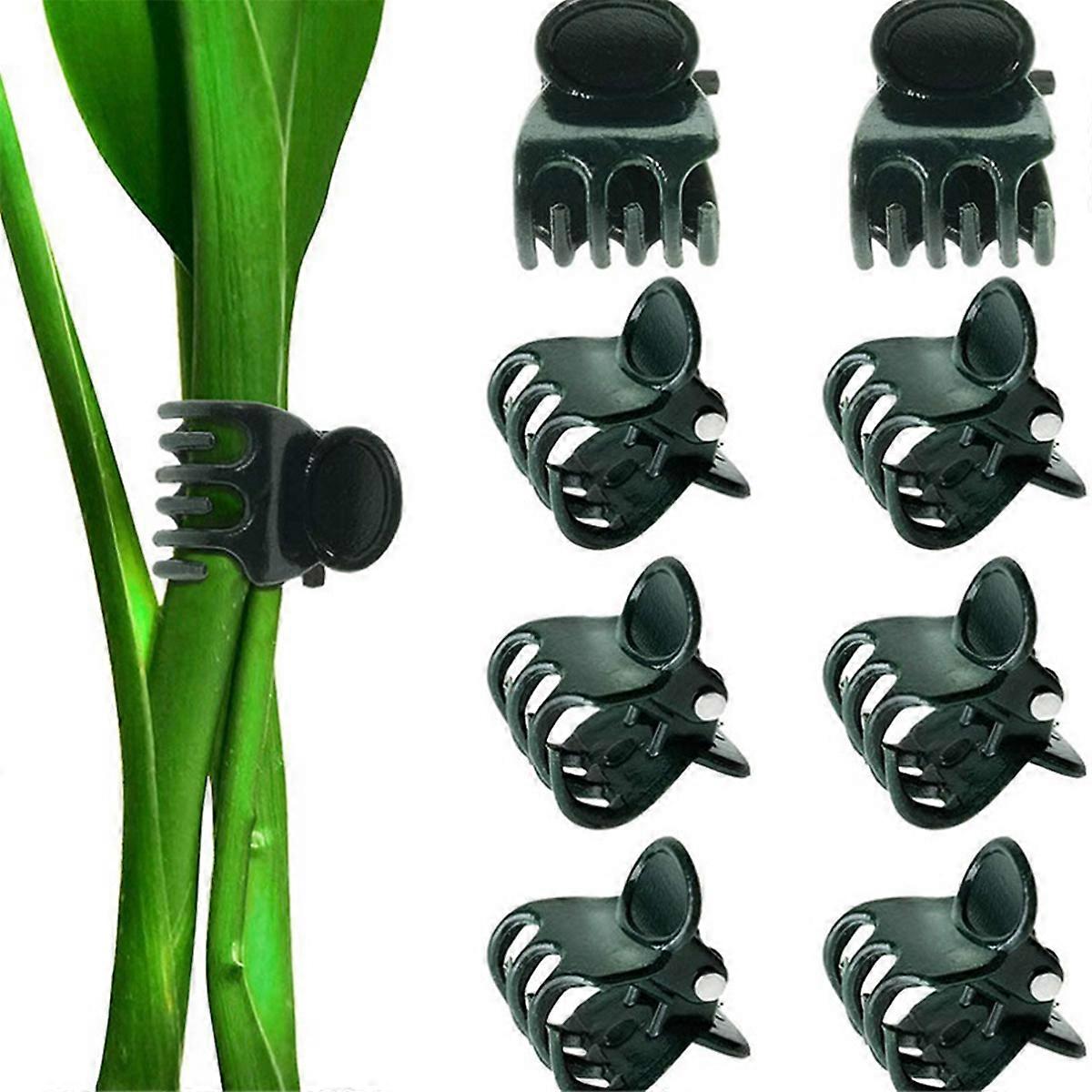Large Size Garden Plant Clips Support Orchid Stem Clip for Vine Vegetables Flower Tied Bundle Branch