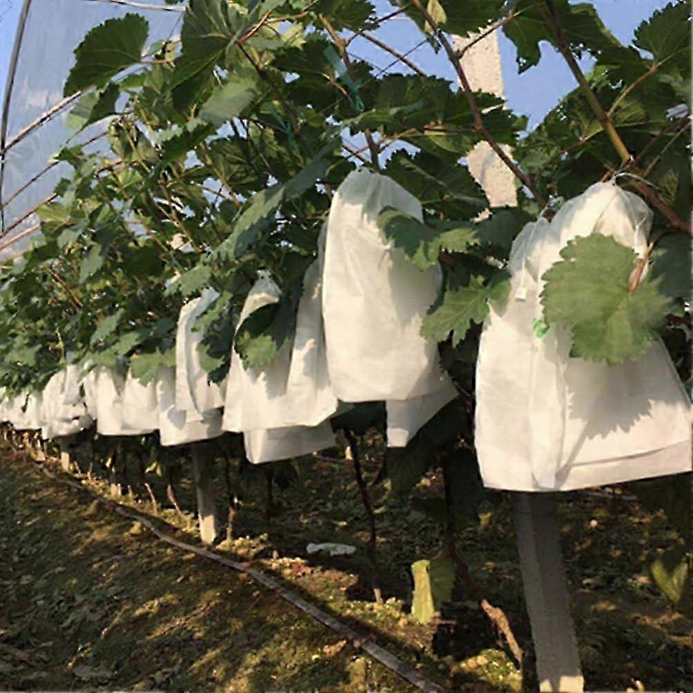 100pcs Garden Grape Fruit Protection Bags Fruit Grove Vegetable Bed Flower Insect-proof Net Bag Insect Isolation Net Barrier Bag (180*200mm, White)