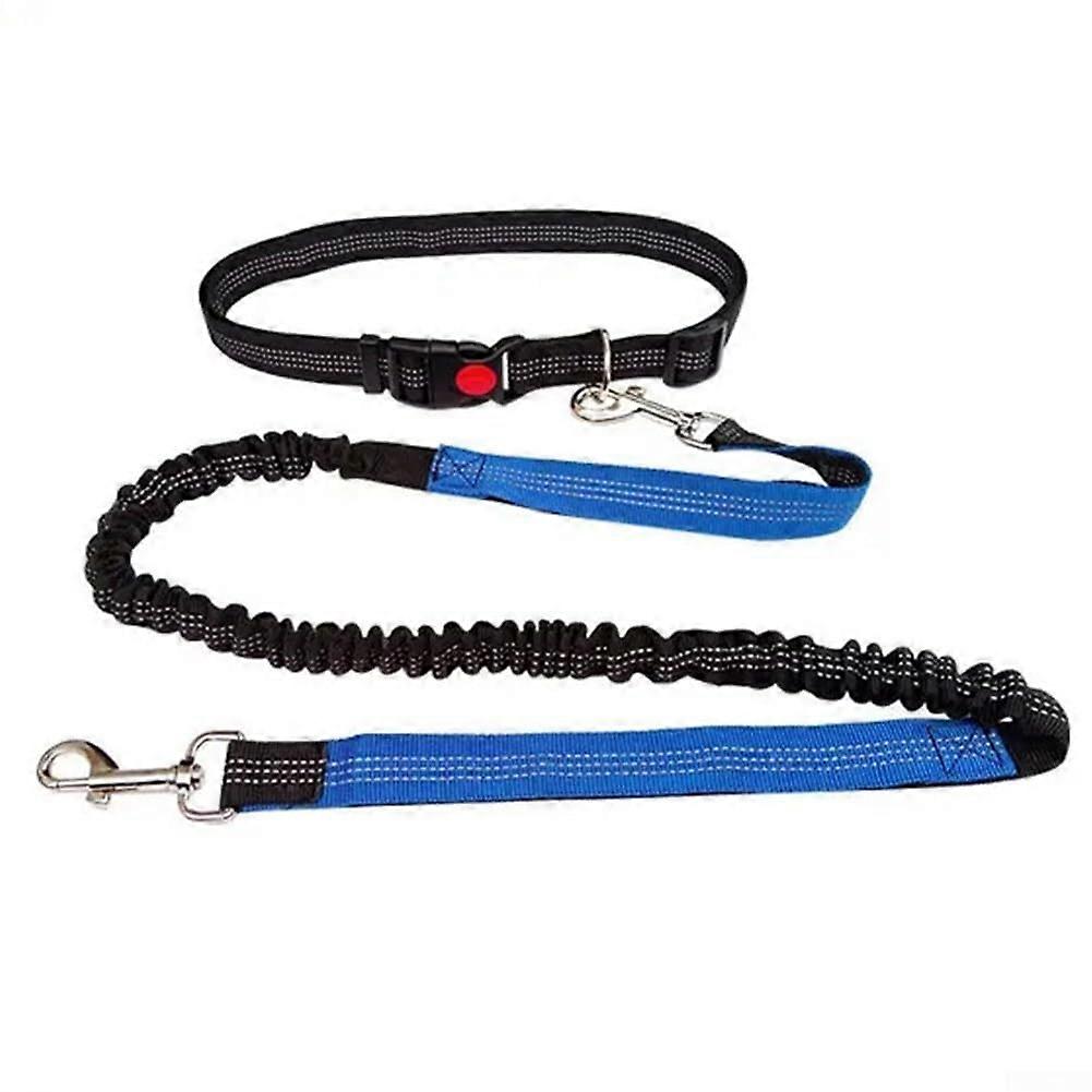 Multifunctional Nylon Dog Leash with Adjustable Comfort Grip Handle, 6FT Pull Rope, Blue Color, Durable Material