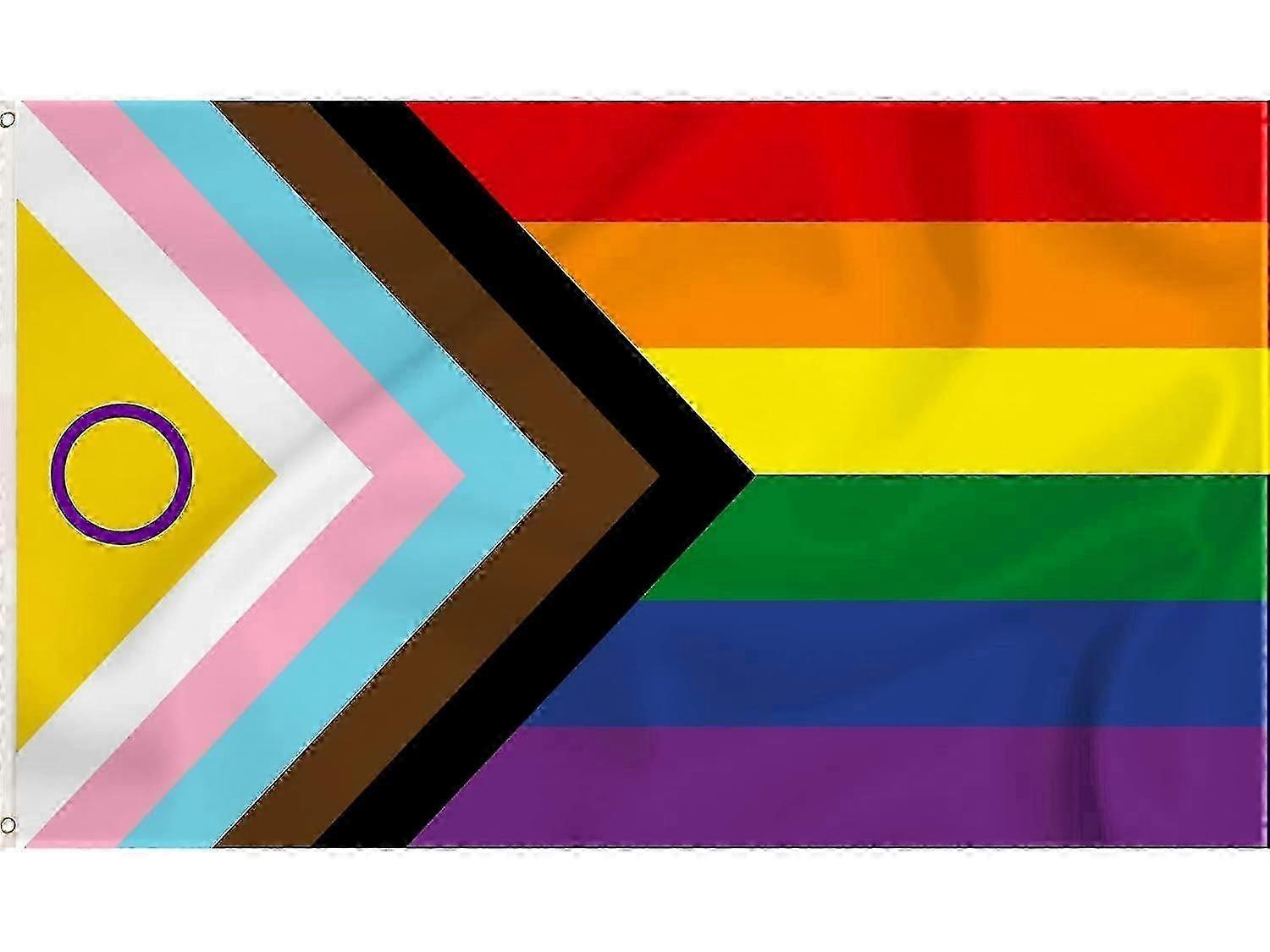 Progressive LGBT Pride Flag with Eyelets Mode 3 - Intersex Friendly