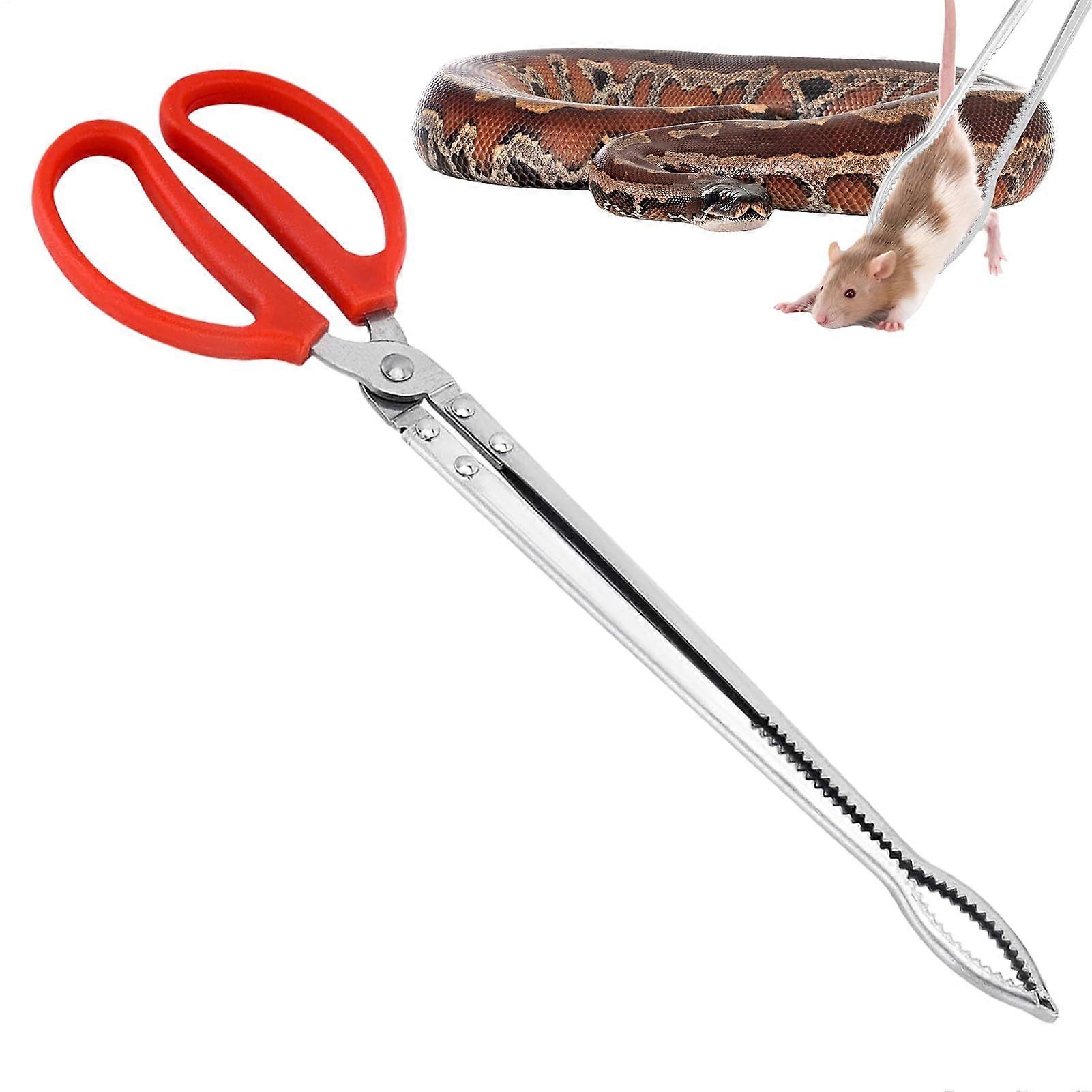 Reptile Feeding Tool – Extra Long Tweezers, RustResistant Handle, NonSlip Grip, Precision Feeding Instrument.