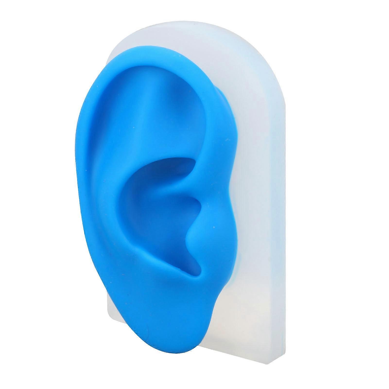 Silicone Ear Model Soft Transparent Blue for Hearing Amplifier Display