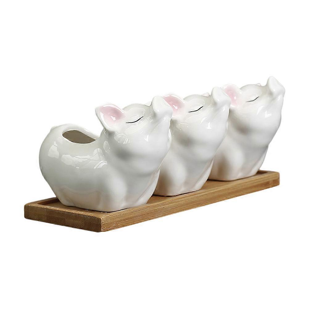 Creative Piggy Design Decorative Succulent Pot for Storage Use 1Set