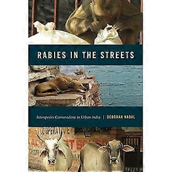 Tollwut auf der Straße: Interspezies-Kameradschaft im urbanen Indien (animalibus)