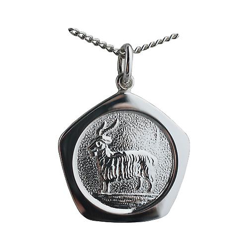 Silver 21mm five sided Capricorn Zodiac Pendant with a curb Chain 24 inches