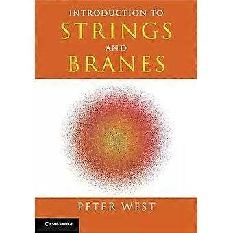 Introdução a cordas e branas - Peter West