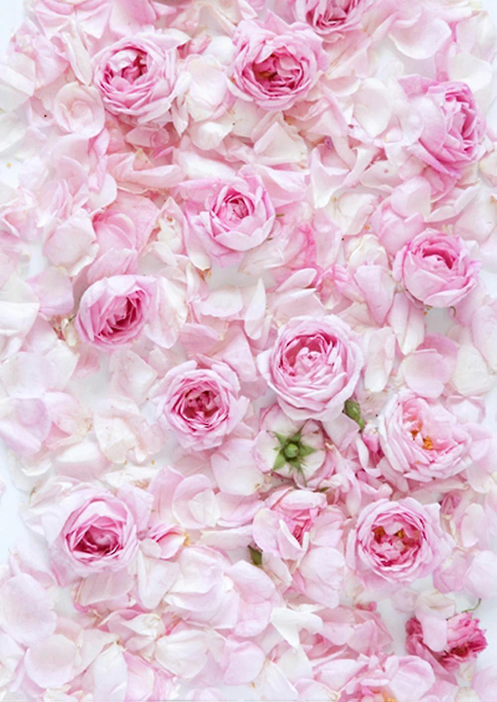 Vinyl Wood Wall Floor Photography Studio Prop Backdrop Background 3x5ft E