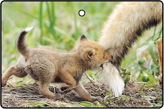 A Fox's Tale Car Air Freshener