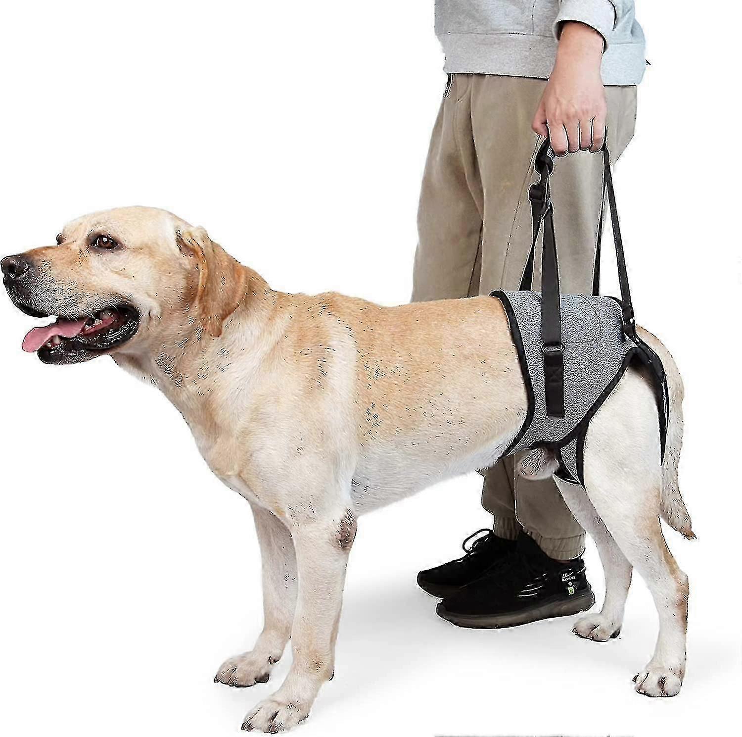 Dog Sling For Large Dogs Hind Leg Support To Help Rehabilitate The Hind Limbs Of Elderly Dogs With Weak Hind Legs Disabilities - You