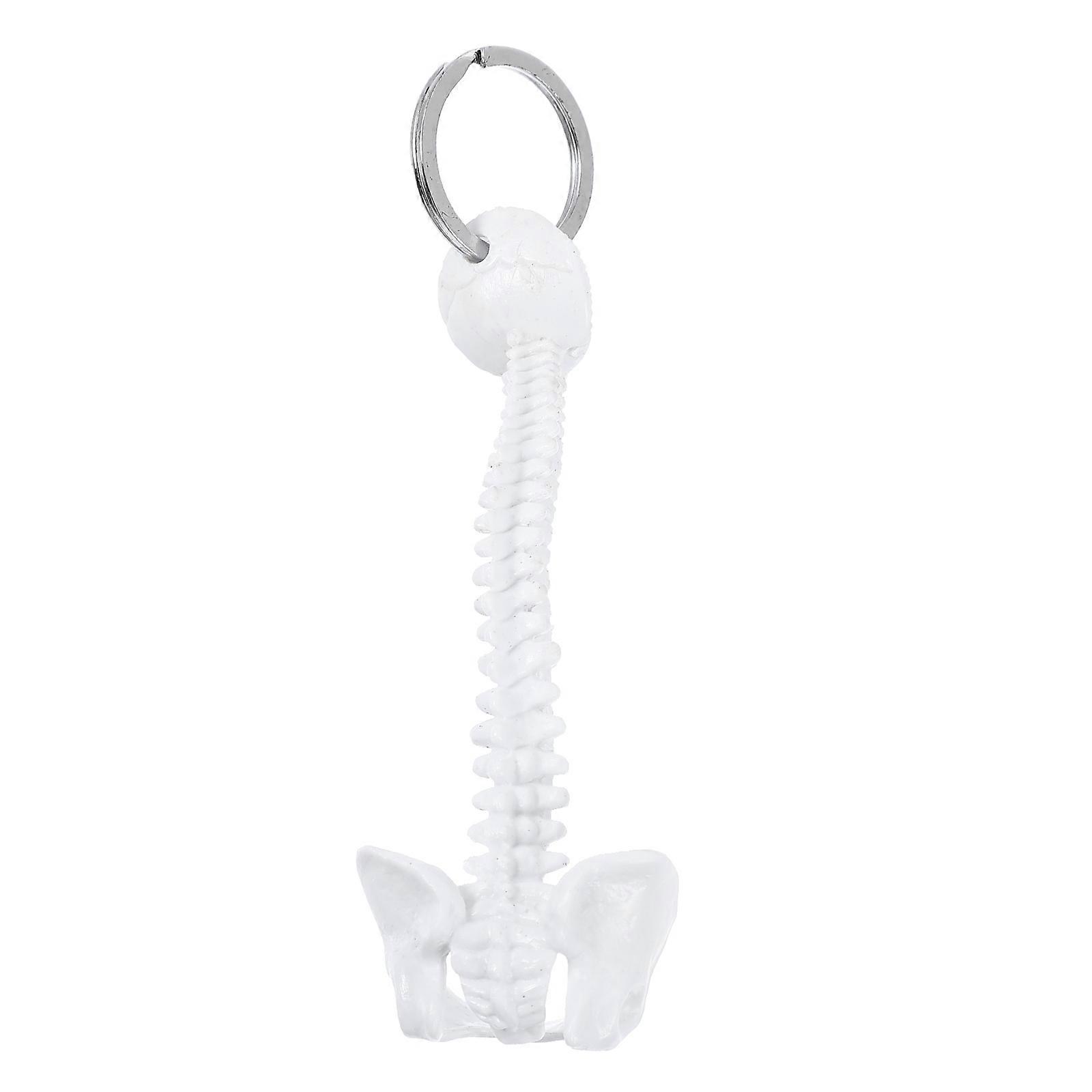 Realistic Human Lumbar Spine Key Ring Pendant Vertebrae Keychain Ornament for Bag Hanging Decor Creative Model Accessory for Keys and Backpack