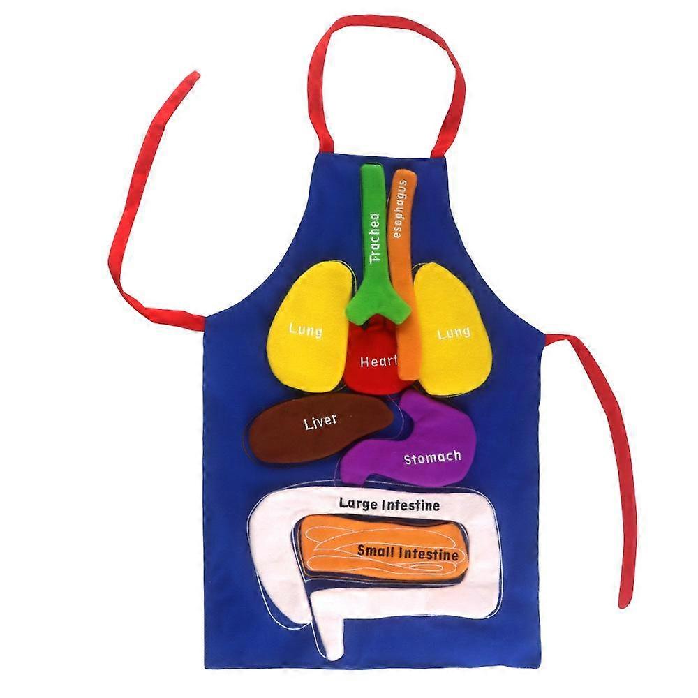 Important Organs Apron