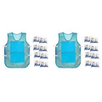 2 Pack Reusable Cooling Vest with Ice Packs, Polyester Summer Cool Sunstroke Protection for Running Gym Outdoor Sports