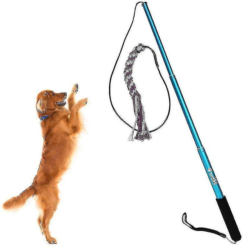 Pets Toys Interactive Extendable Flirt Pole Funny Chasing Tail Teaser And Exerciser For Dogs Interactive(l, Blue)