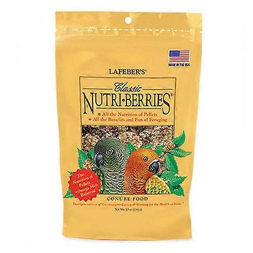 Lafeber 经典营养浆果 Conure 食品，10 盎司