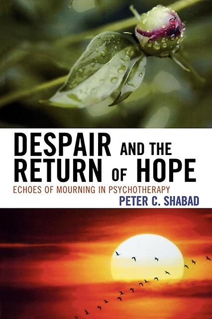 Despair And The Return Of Hope by Peter C. Shabad Paperback Book