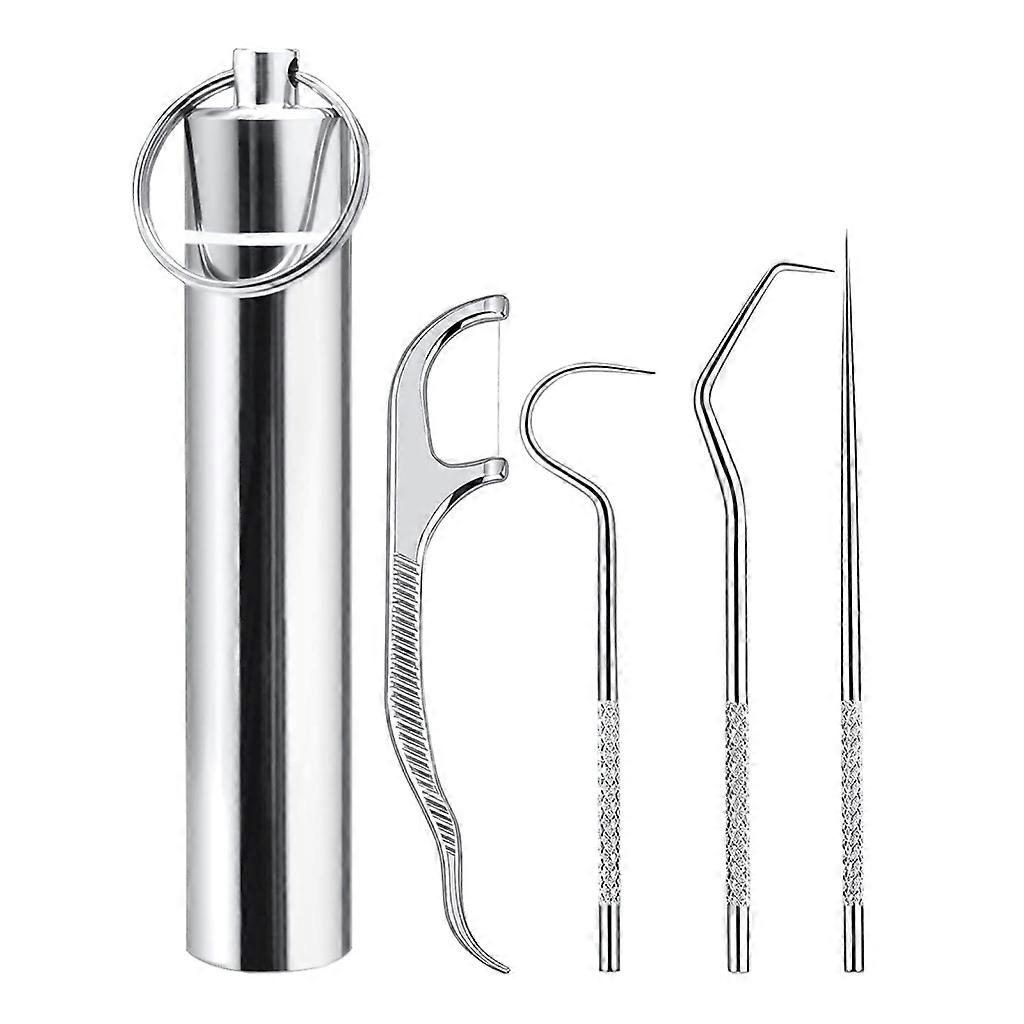 Pocket Stainless Toothpick with Holder Portable Keychain Teeth Cleaning Tools
