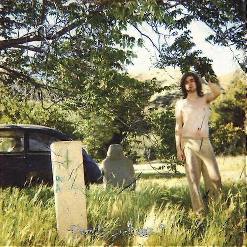 Ariel Pinks Haunted Graffiti The Doldrums CD (2007)