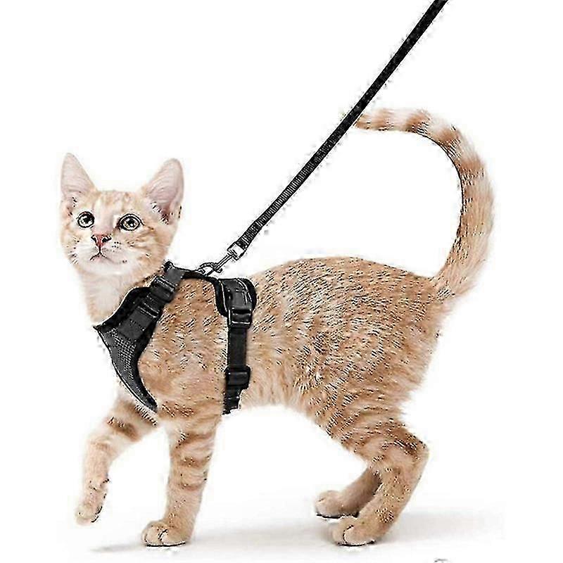 Cat Harness and Leash for Walking Escape Proof, Adjustable Harness for Cats
