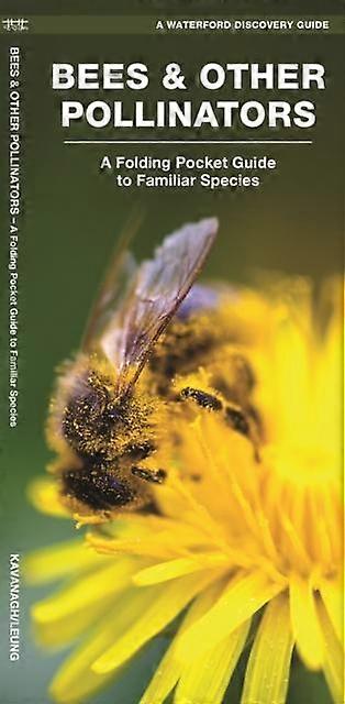 Bees & Other Pollinators - James Kavanagh