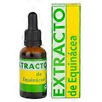Echinacea Extract 31 ml